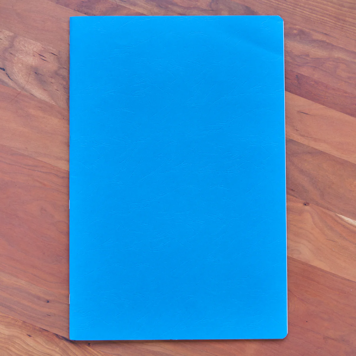 Extra Large Lesson Books - Onion Skin - Portrait Format - 12.6" x 18.9" - Image 4